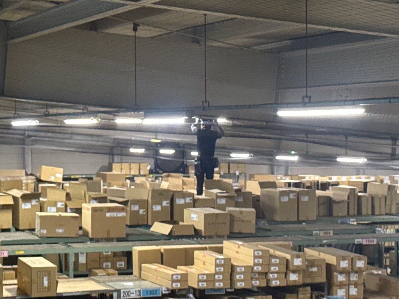 施工完了後の倉庫内天井面：防鳥ネット50mm施工で天井面全域を封鎖した状態