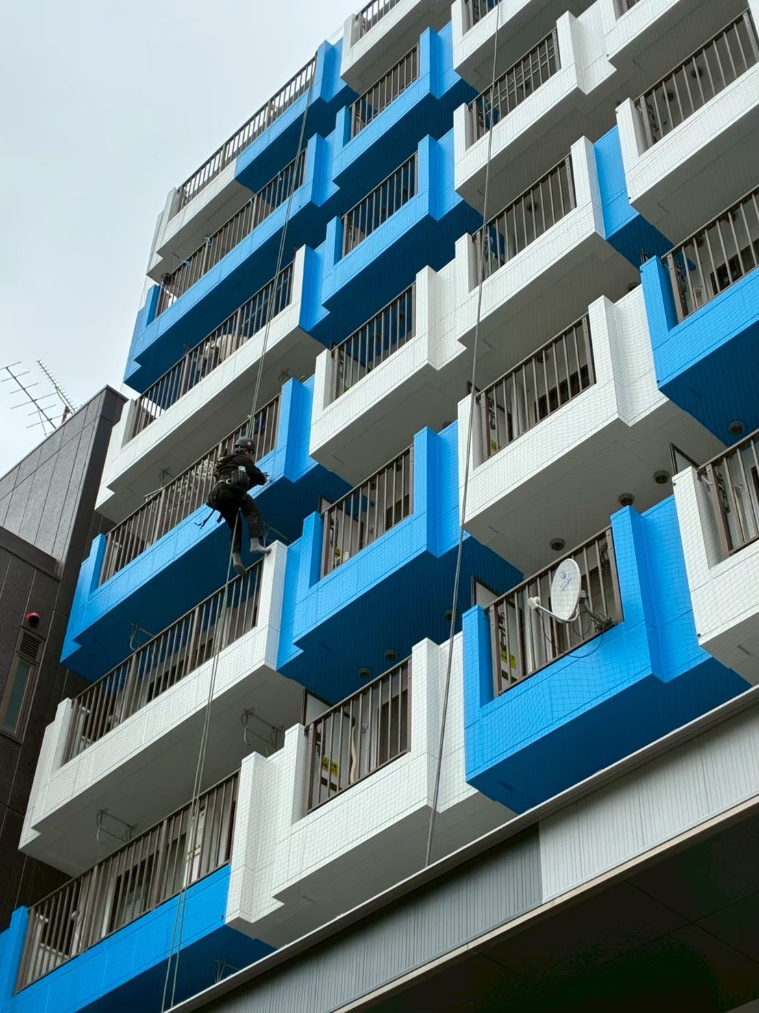 マンション外壁全景での施工状況：ロープアクセスで作業員が外壁を降下しながら各階のネットを固定
