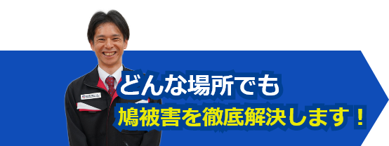 どんな場所でも鳩被害を徹底解決します
